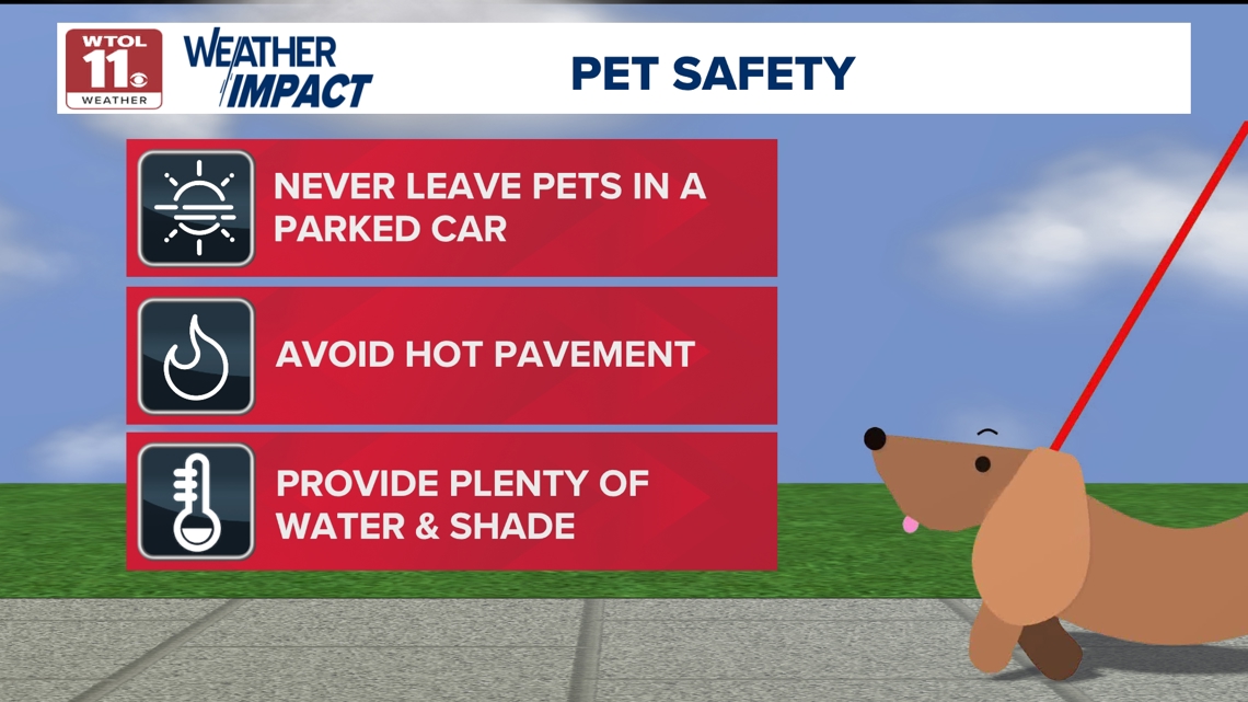 Summer safety: Keeping pets safe during extreme heat | wtol.com