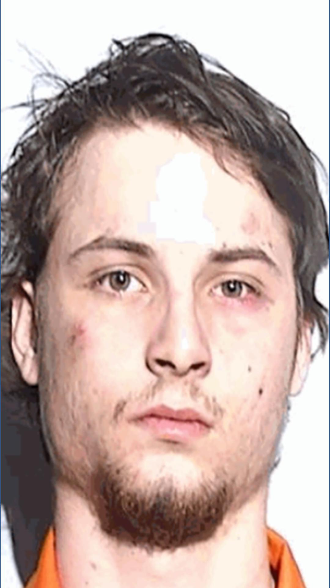 Man facing multiple charges after fleeing from police with kids in car ...