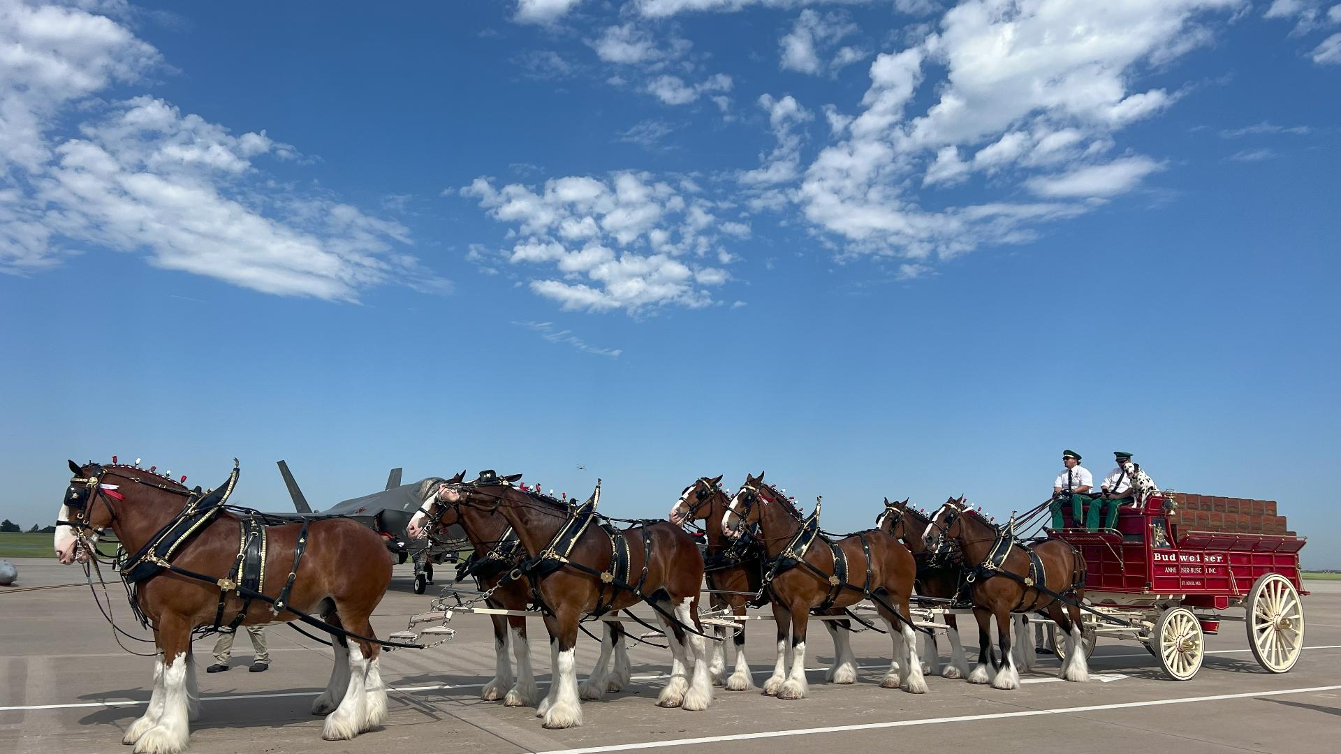 The horses will make stops at Fifth Third Field for the Mud Hens game on June 27 and downtown Rossford on June 28 as part of a national tour with Folds of Honor.