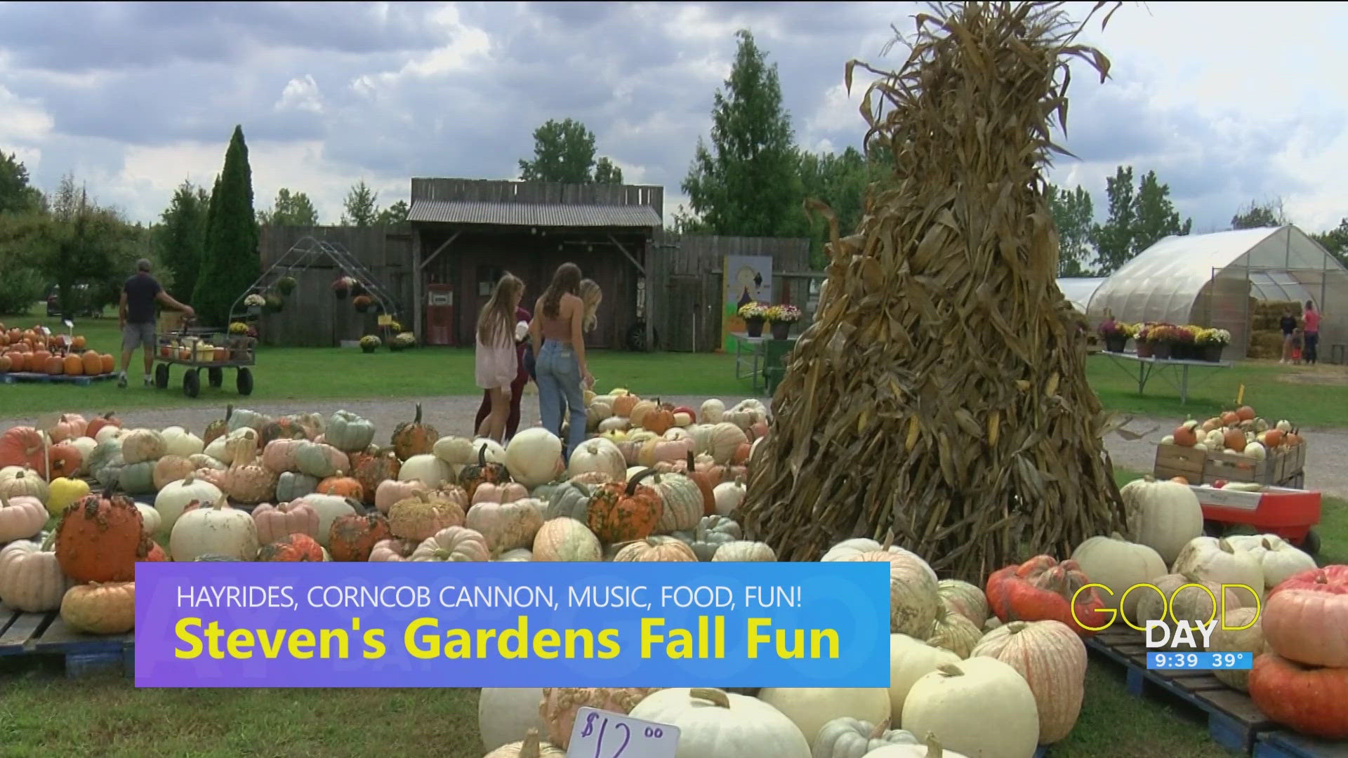 Debbie Stevens Laux from Stevens Gardens in Monclova talks 'everything fall'.