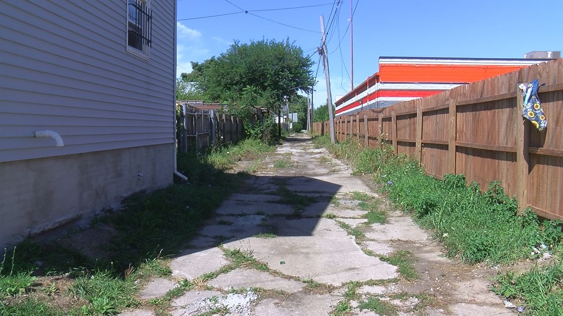 Toledo neighborhood alleyway cleaned up from overgrown weeds - Vimarsana News