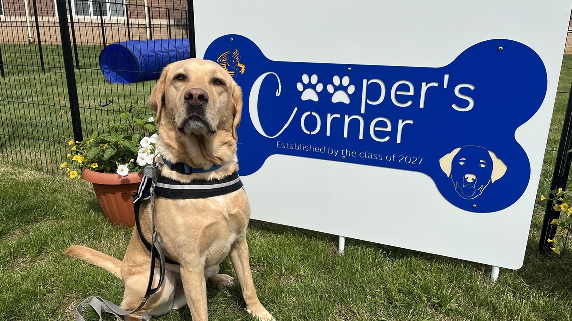 Tiffin Middle School's facility dog honored with learning area | wtol.com