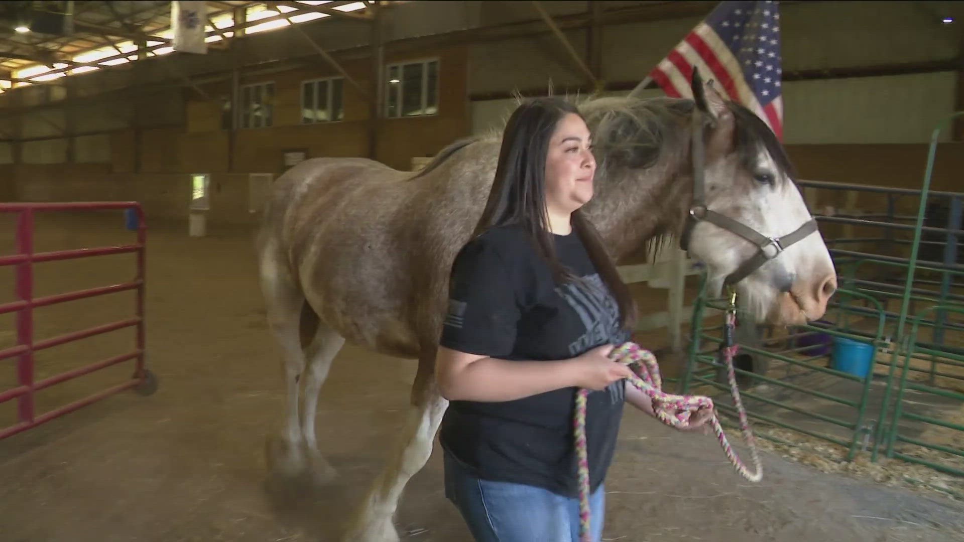 The Little Blessings Ranch program helps veterans who can't leave their trauma behind.