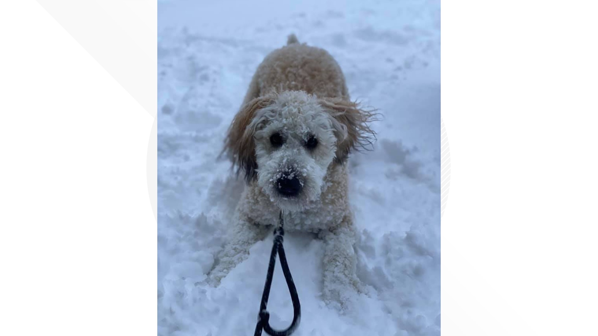 Major Ohio snowstorm latest updates and developments live blog