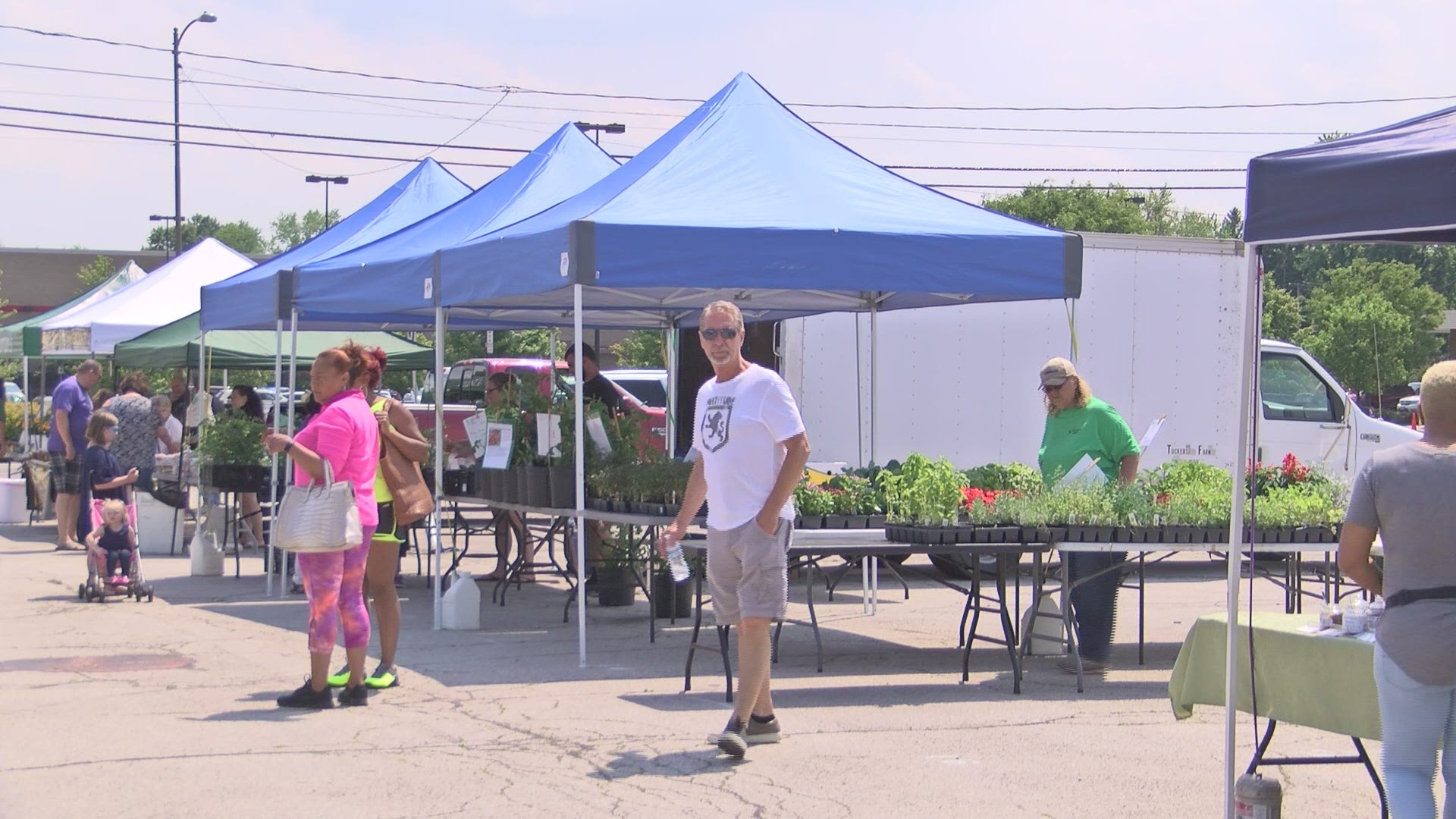 It's summertime, when you'd probably expect kids to be at camp or at the pool, but 12-year-old Mallory Kolin spends her free time making money. She works at her grandfather's produce stand twice a week.