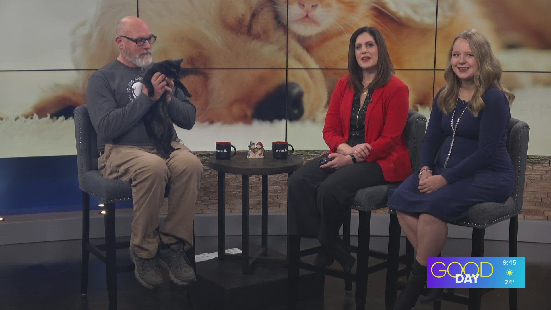 Adopt a shelter pet! | Good Day on WTOL 11 | wtol.com