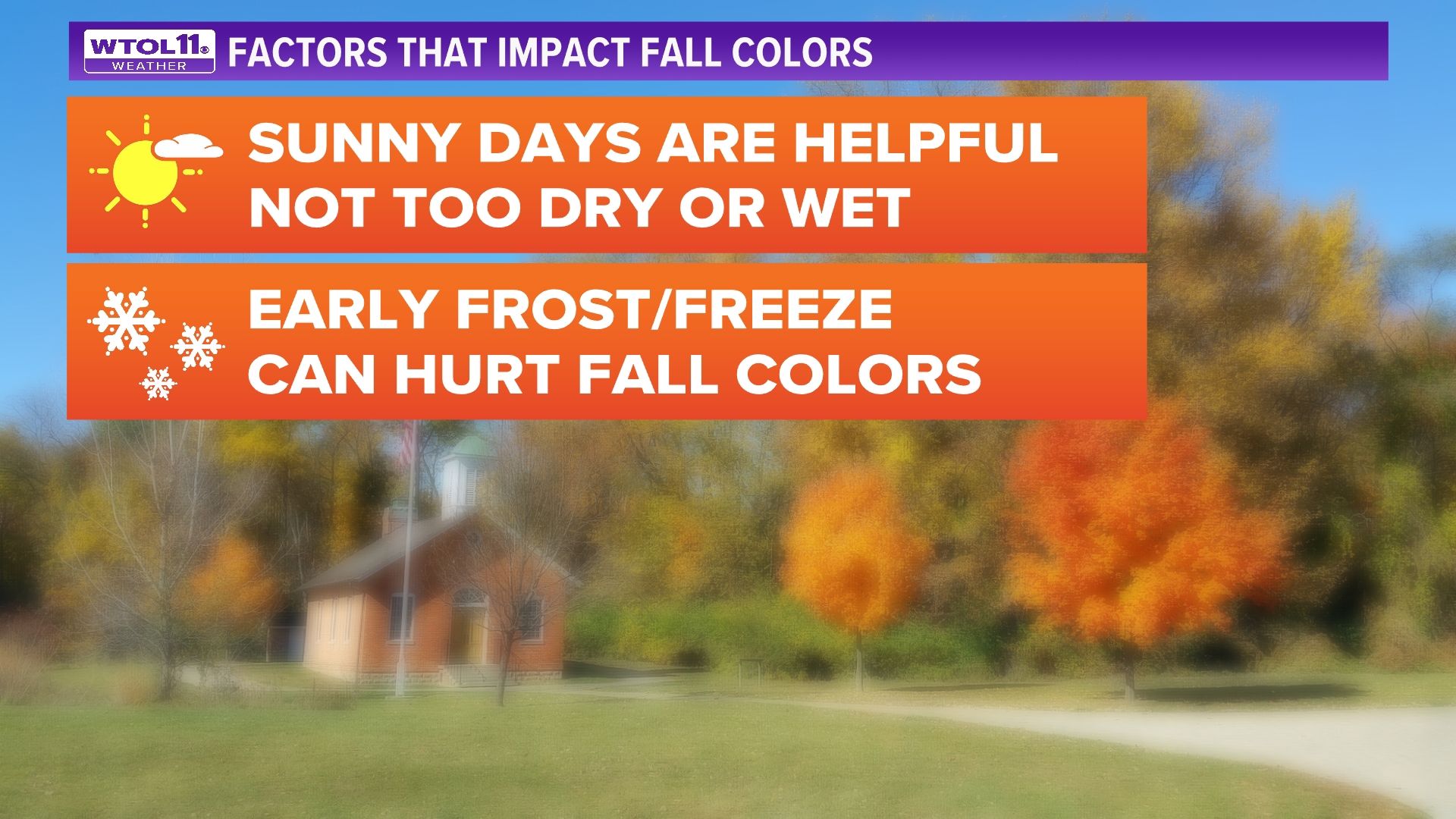 Will recent extreme heat and dry conditions affect fall colors? | wtol.com