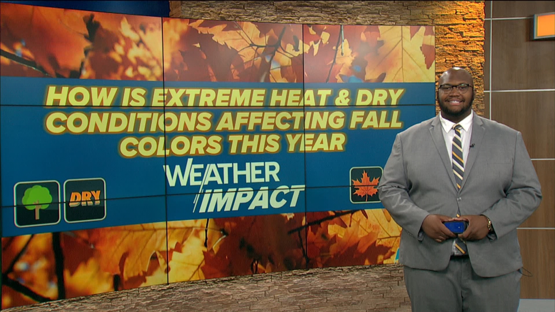 In this week's WTOL 11 Weather Impact, meteorologist Matt Willoughby breaks down the perfect fall colors recipe and the factors that could impact them.