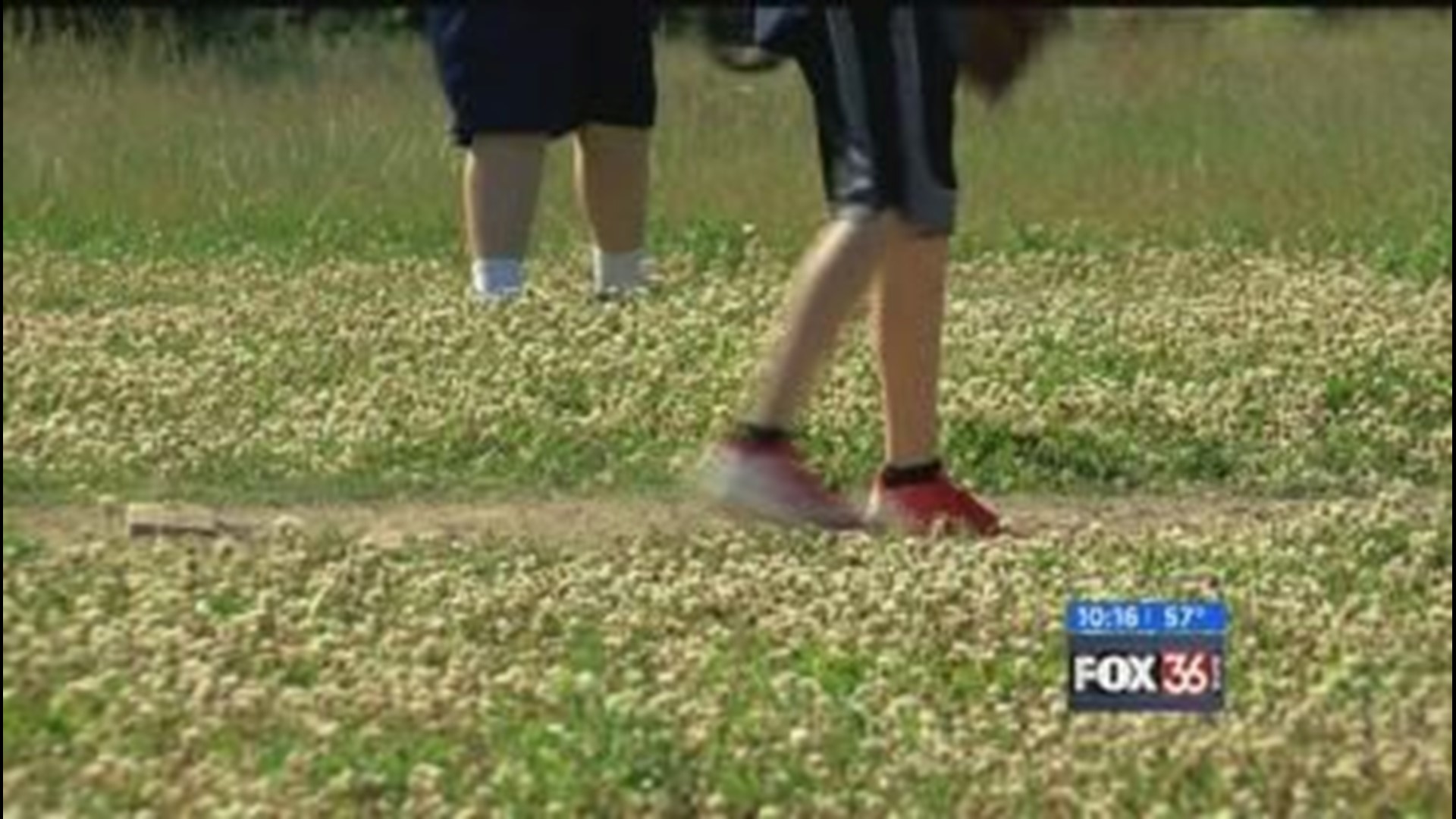 Coach, parents angered at lake of upkeep for Toledo baseball field