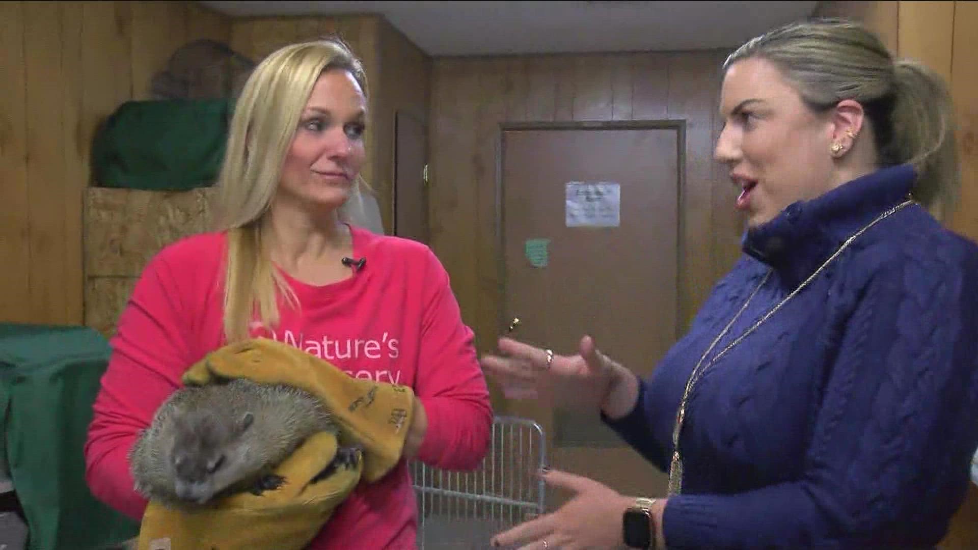 The annual Giving Tuesday fundraiser is key for nonprofits like Nature's Nursery, especially as the wildlife rehab group is raising money for a new building.