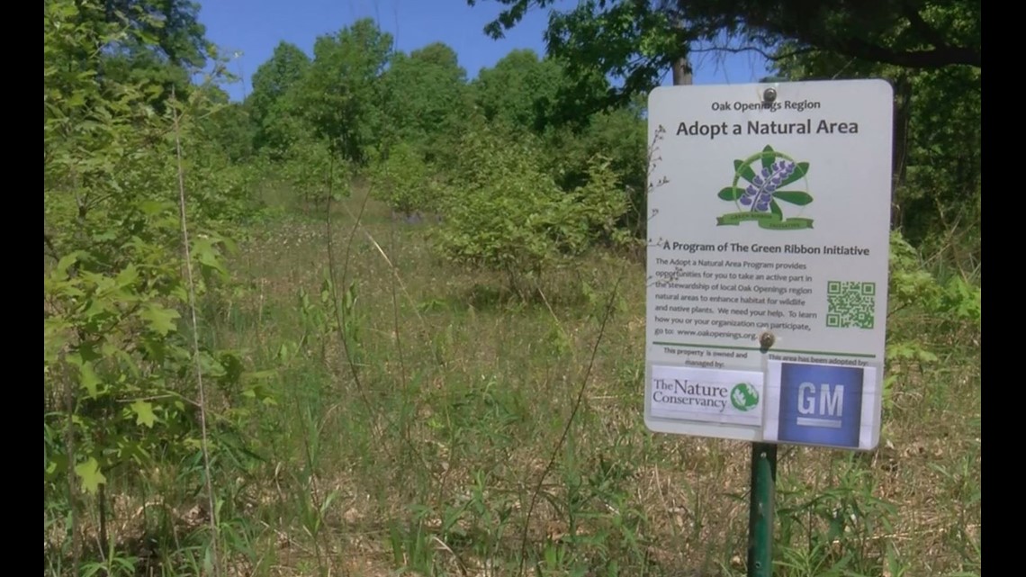 GM workers spend day working on adopted plot of land at Kitty Todd