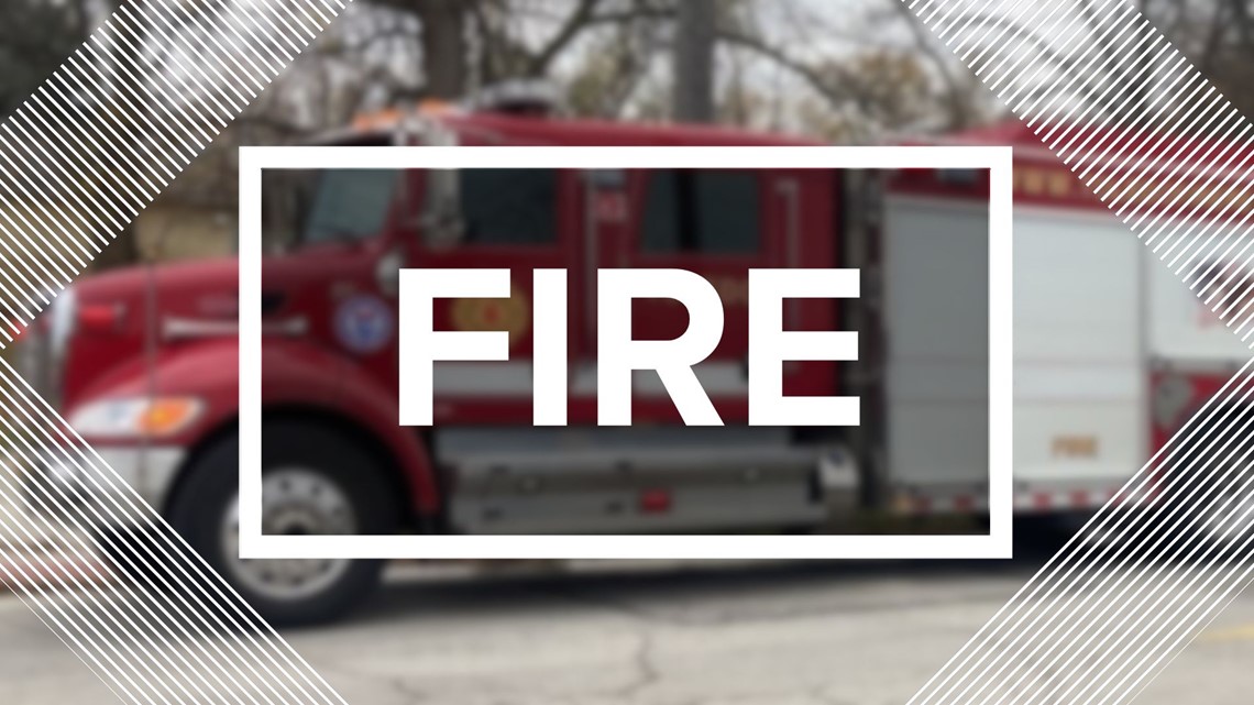 Bark N Lounge kennel burns down early Sunday morning - Vimarsana News