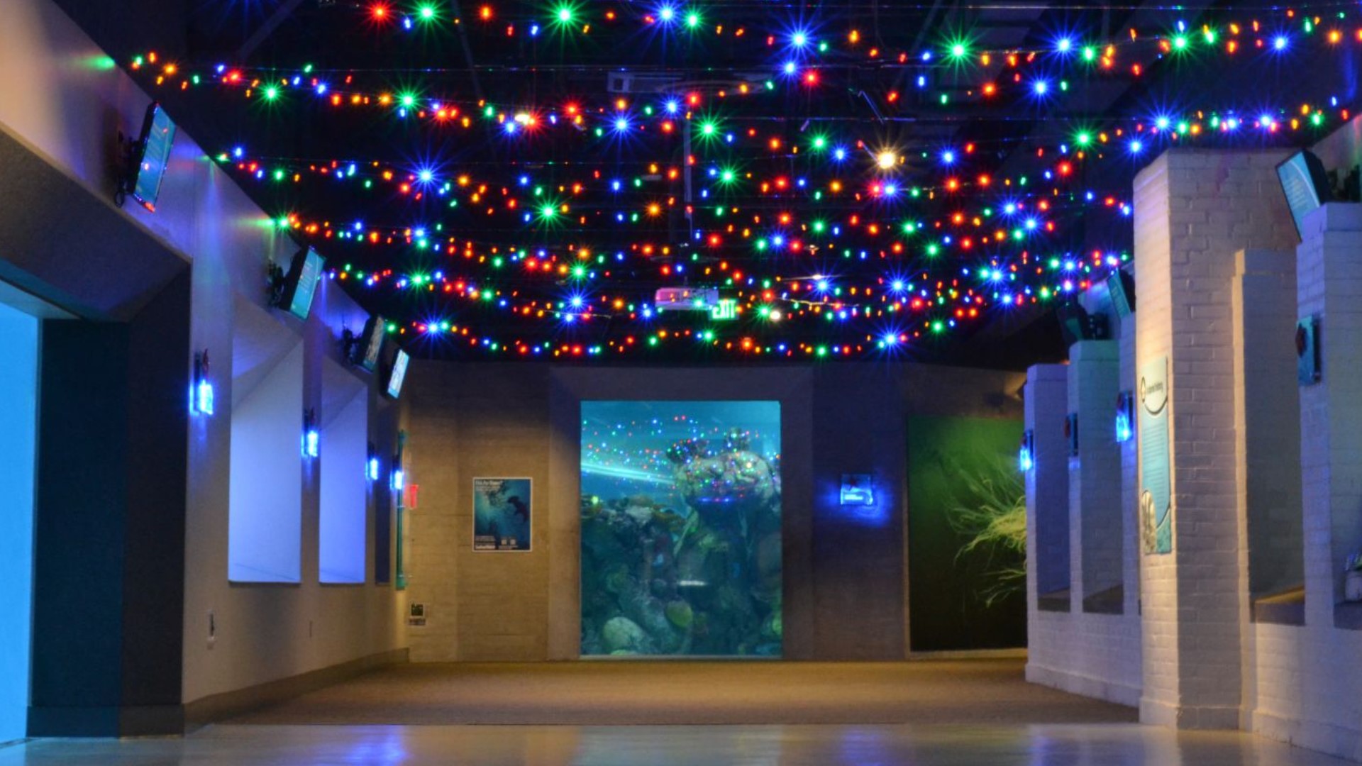 The Toledo Zoo kicks off season, lights up tree