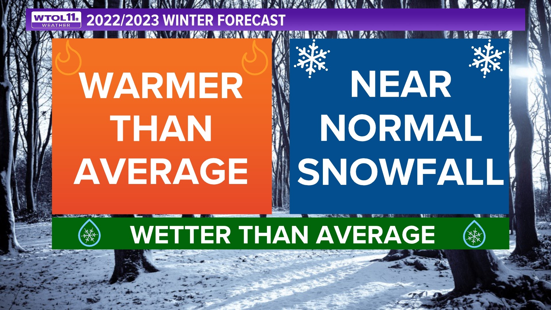 WTOL 11 Winter Weather Outlook: How cold, how much snow | wtol.com