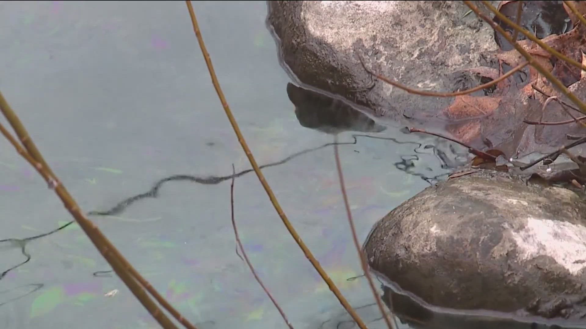 According to the Department of Justice, a fisherman in Hardin County first reported seeing fish killed by exposure to the hazardous wastewater.
