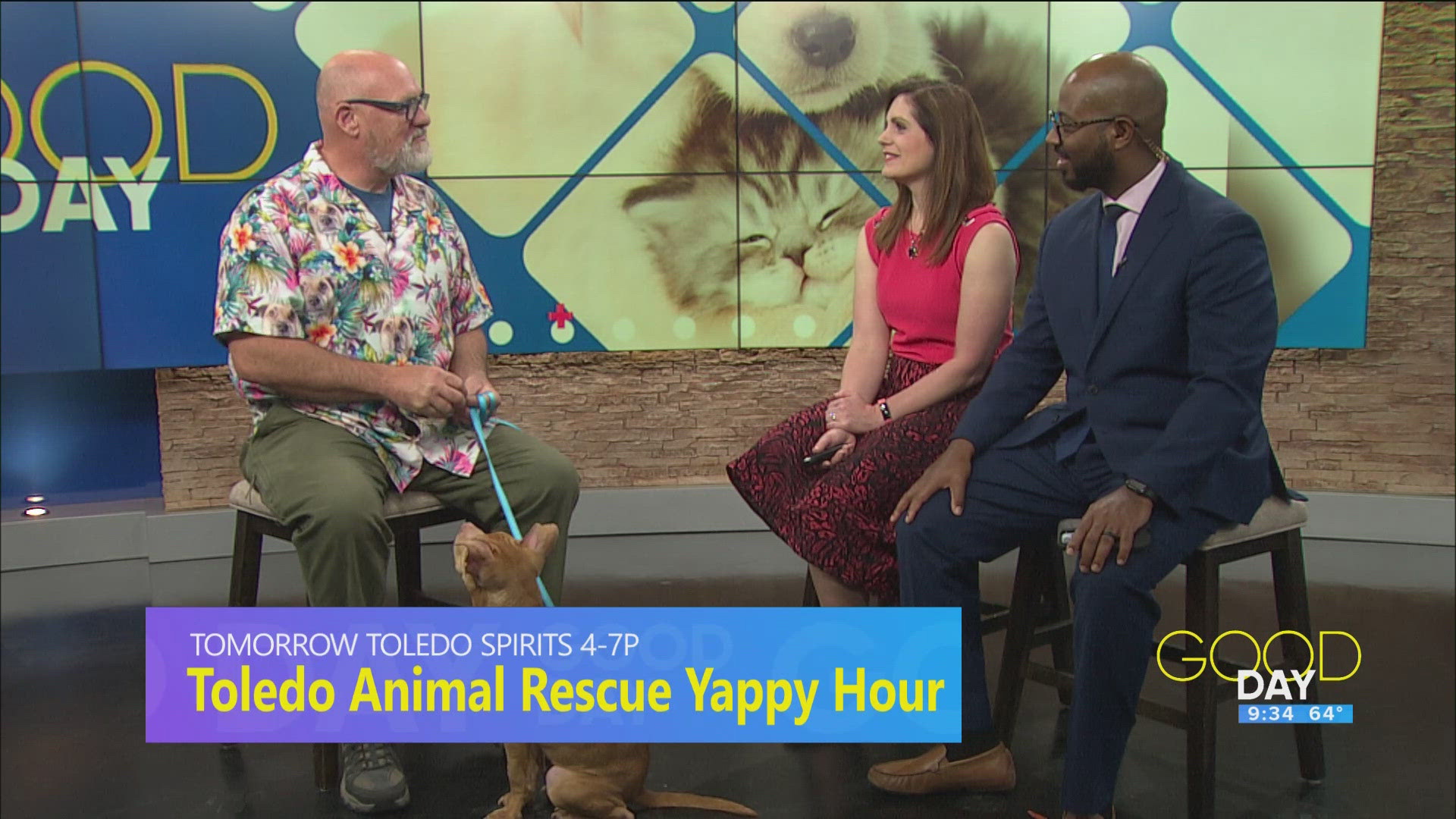 The Toledo Animal Rescue's Yappy Hour will be held at Toledo Spirits from 4 p.m. to 7 p.m. on Saturday.