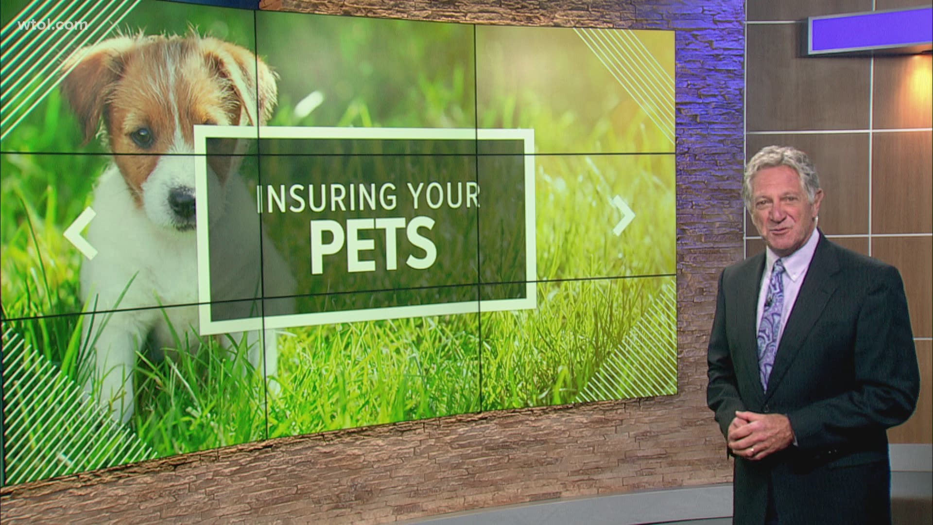 Pets have become family members and when medical bills can rack up to thousands of dollars insurance might be a way to save money.