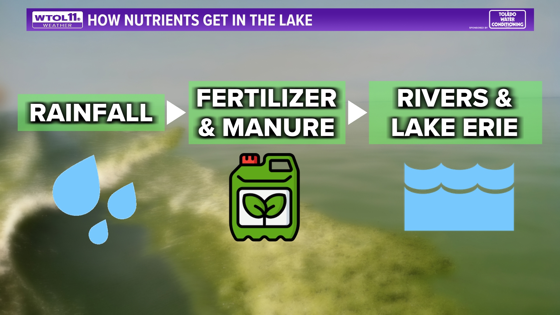 Each year, a harmful algal bloom forms in Lake Erie. Here's why heavy spring rainfall can make an impact on its size.