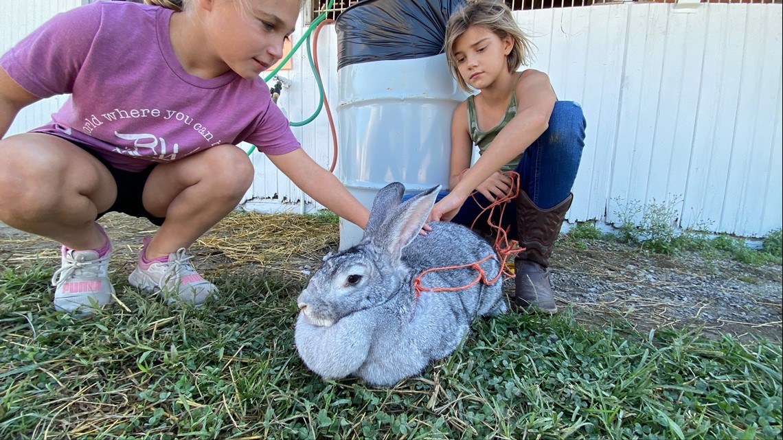Hancock County Fair open through Labor Day