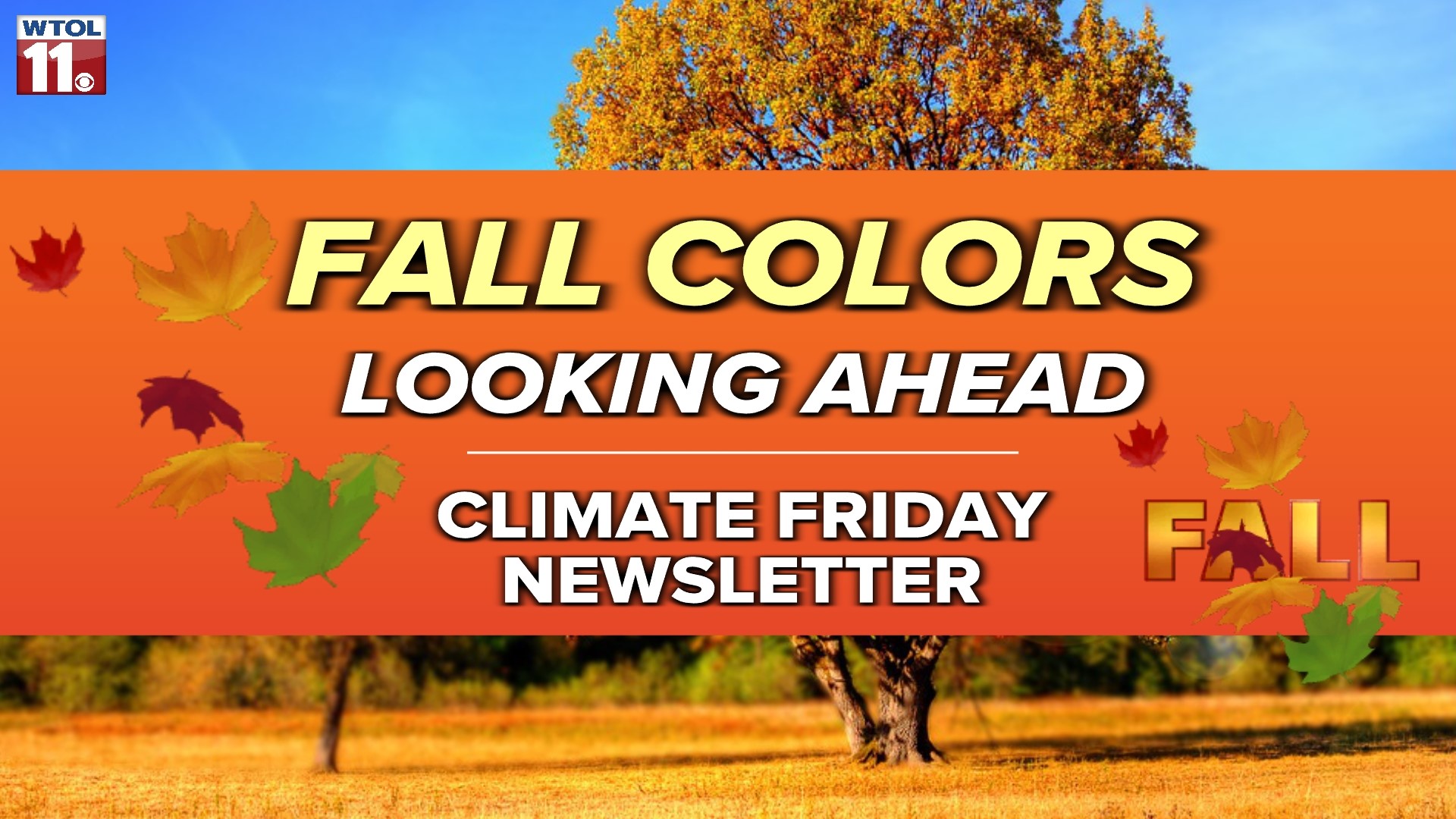 Meteorologist John Burchfield talks increasing fall temperatures and the impact they have on the timing of autumn leaves.