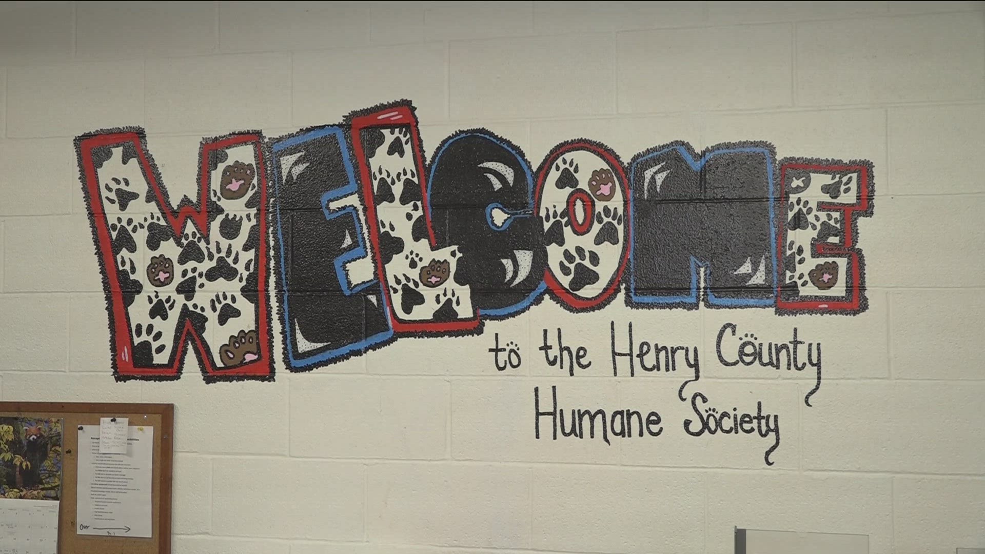 Volunteers from local businesses are helping to install new cat colonies and a new meet-and-greet area at the Henry County Humane Society.