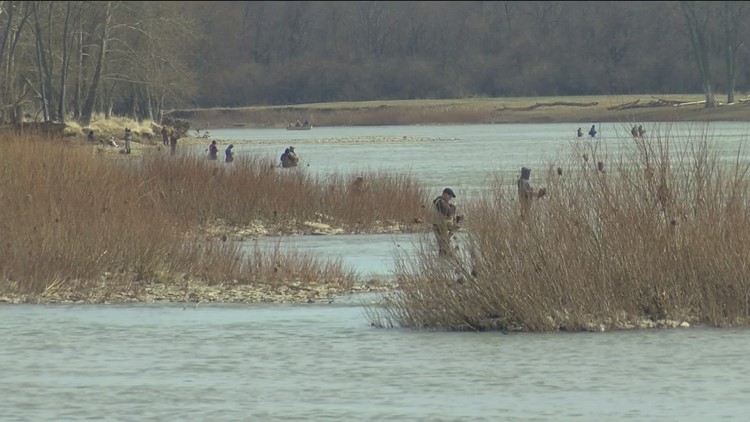 Study: freshwater fish across the US are contaminated with forever chemicals