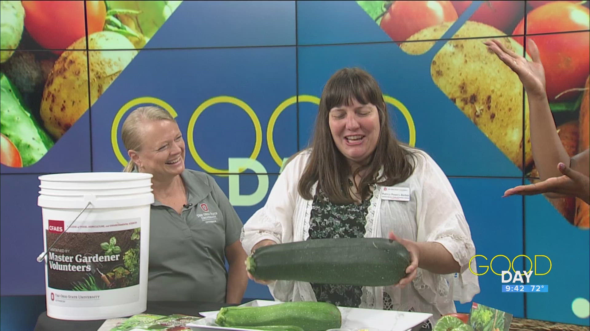 Sneak some zucchini on to your neighbor's porch! It's a national holiday, after all.