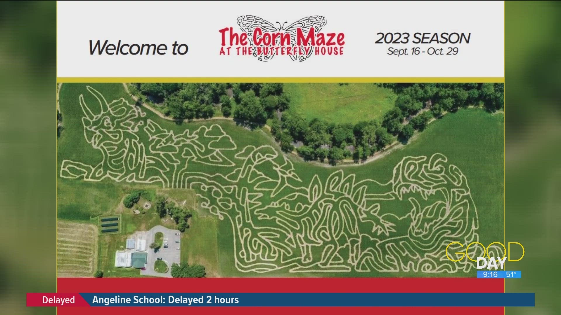 To celebrate Jurassic Park's 30th anniversary, Wheeler Farms has made their corn maze dinosaur themed.