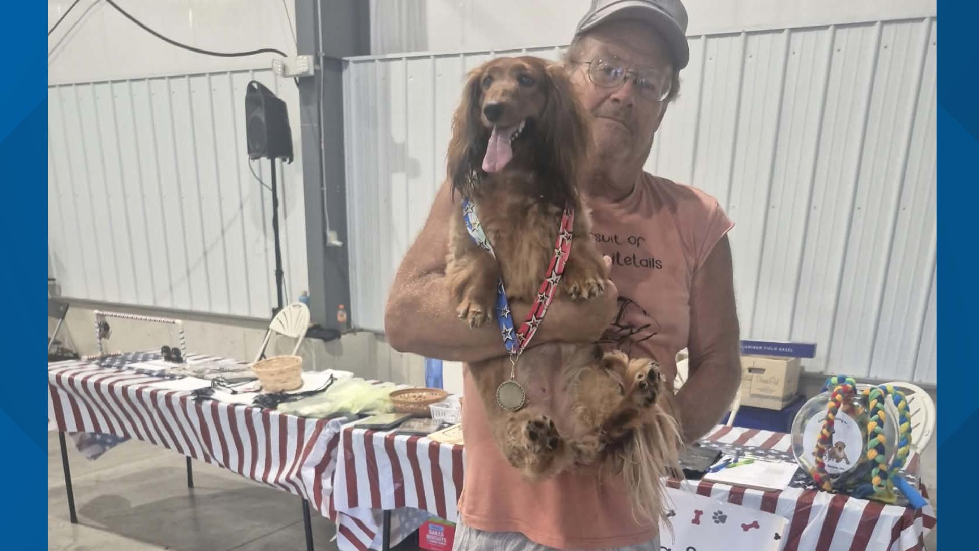 Dachshunds race for bragging rights - and cold hard cash - at Wood County Fair