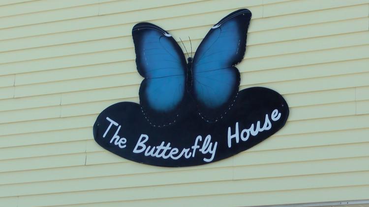 Butterfly House at Wheeler Farms preparing for grand reopening