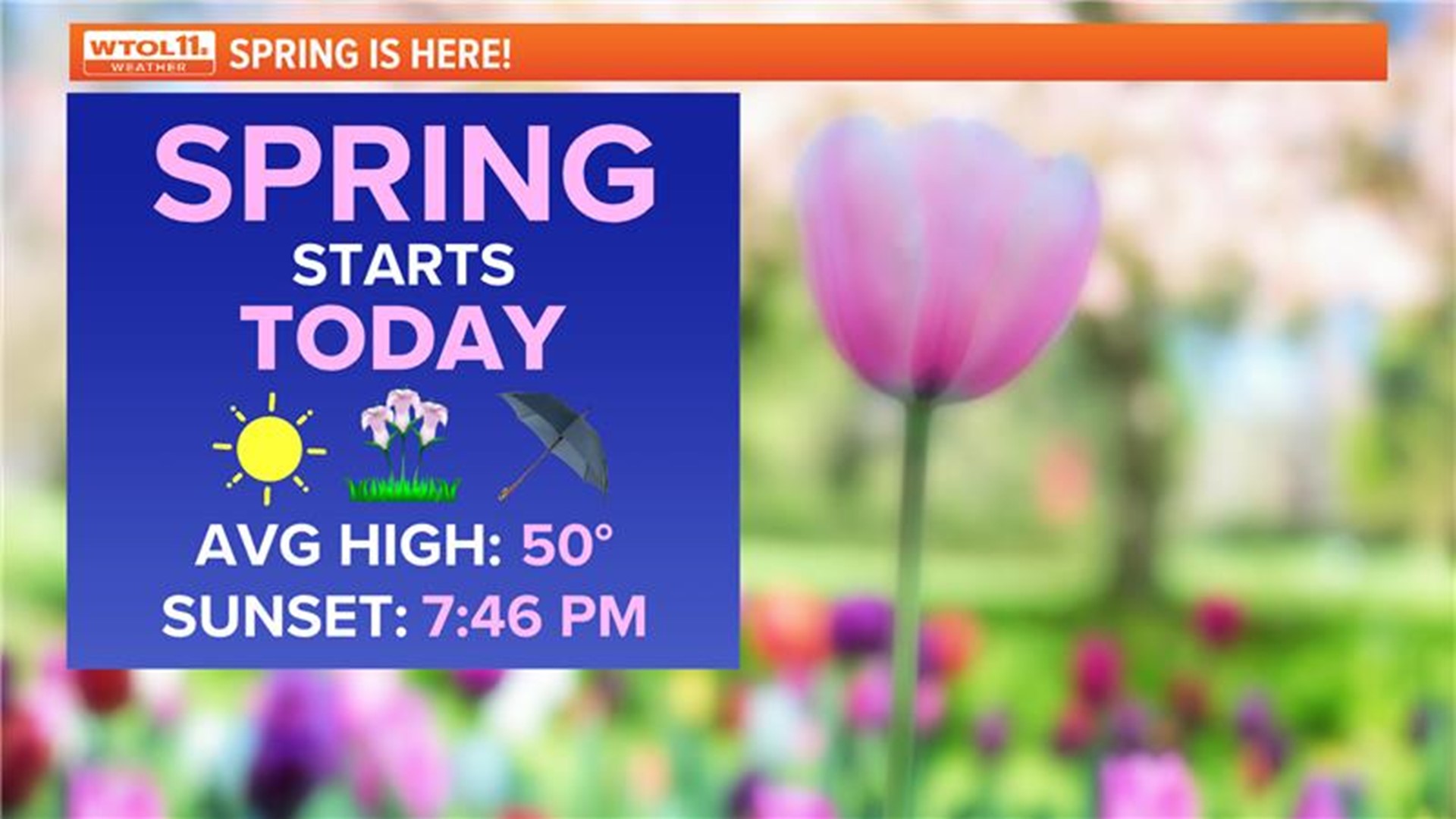 How much rainfall will Toledo get this week?