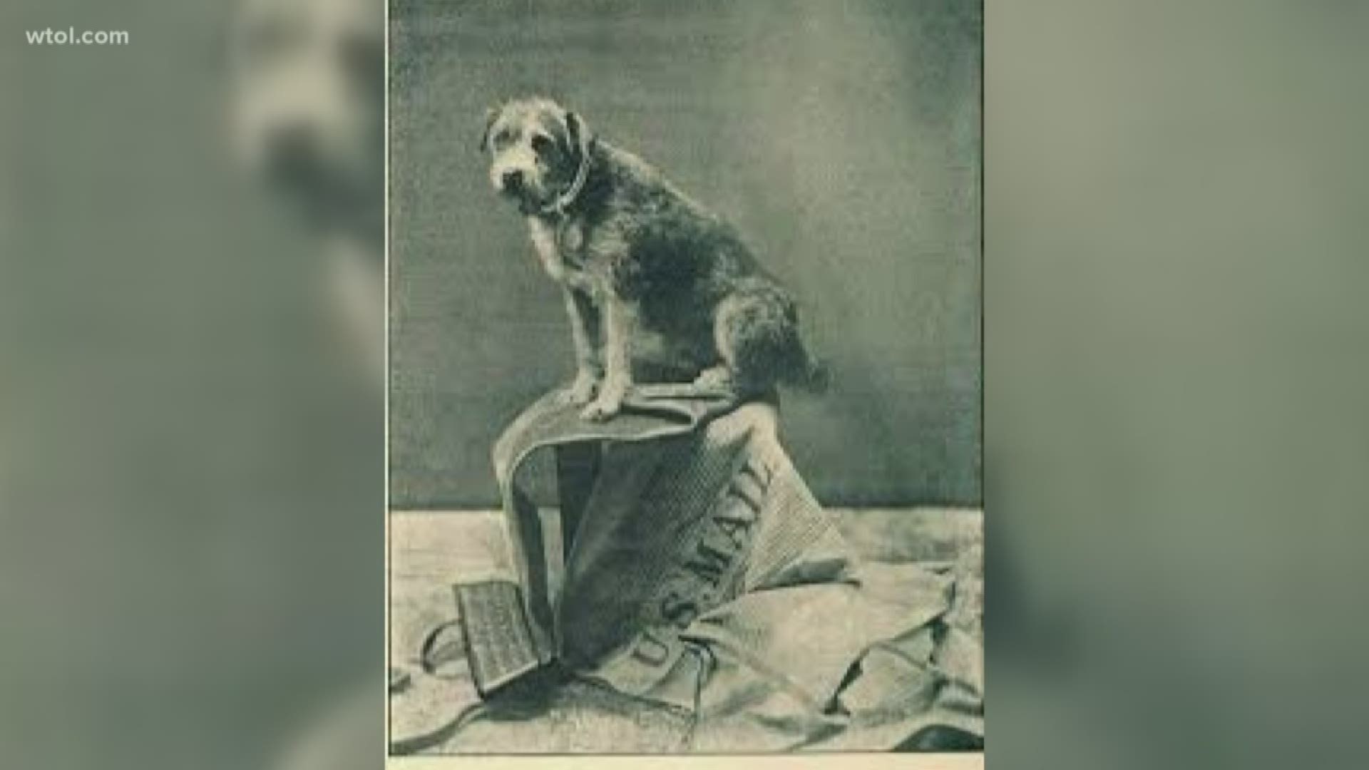 Owney, was a popular postal mascot in the 1890s.