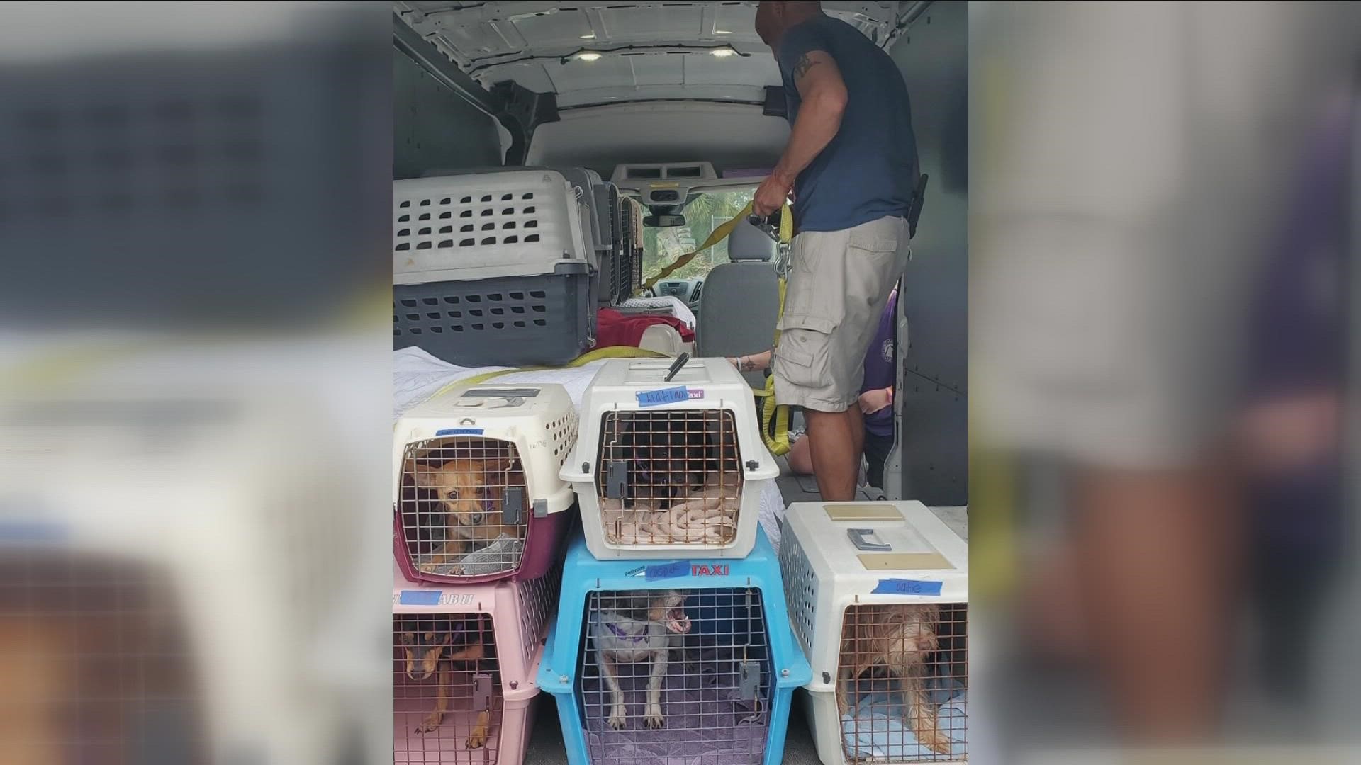 Gary Willoughby, the director of the Fort Myers Humane Society, said he didn't have time to get his animals to safety.