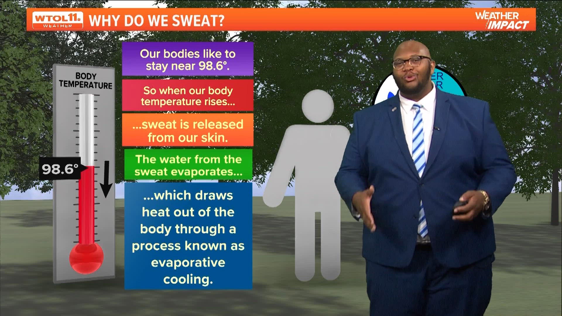 As hot sizzling days approach this summer, it is key to understand the process of why we sweat.