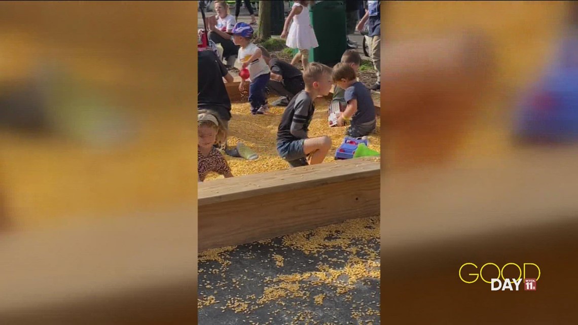 The Appleumpkin Festival celebrates fall, small businesses in Tecumseh