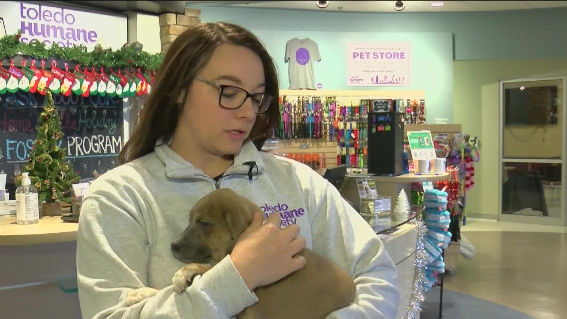 The humane society hosted an event to microchip pets for local owners.