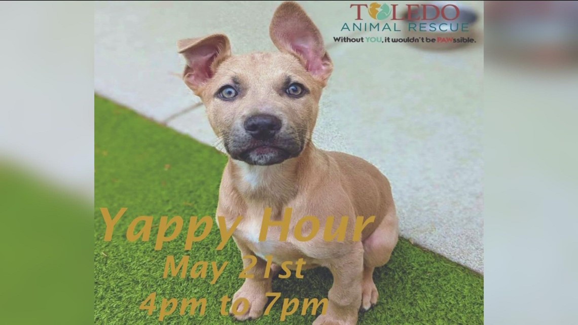 Your Day: Furry Friday with Toledo Animal Rescue Steve Kiessling - May 6