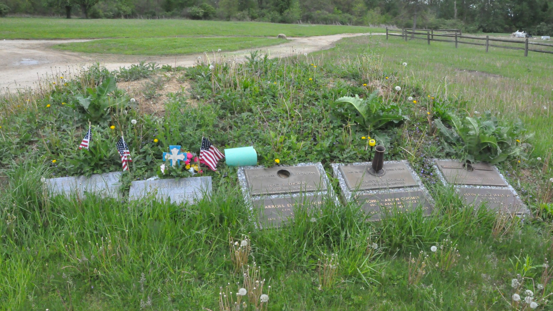 Seneca Co. mother and son looking for answers regarding the cemetery in