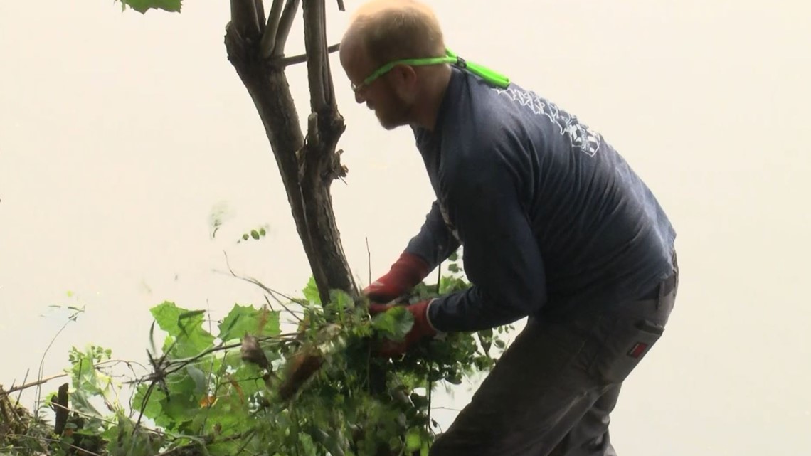 Who maintains Towpath Park in Maumee? - Vimarsana News