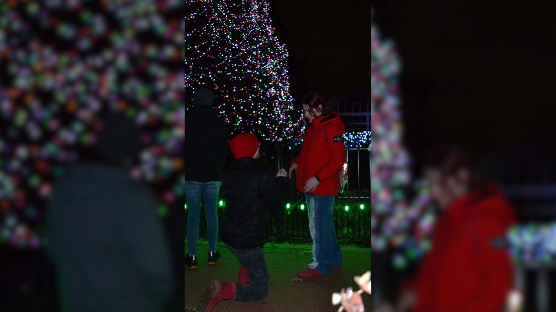 The couple got engaged at the Toledo Zoo’s tree lighting on Friday