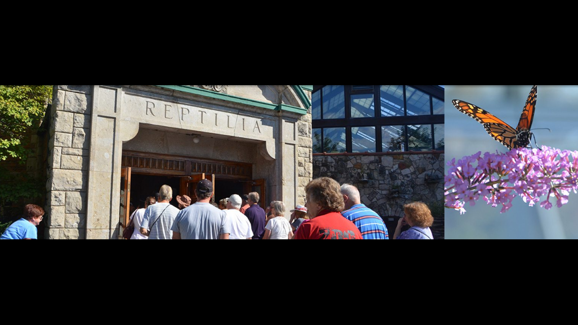 Toledo Zoo offers senior discounts