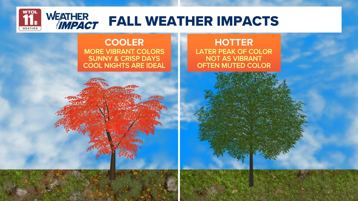 Fall Raining Season Is Fall most people's favorite season? Here's what Americans say ...
