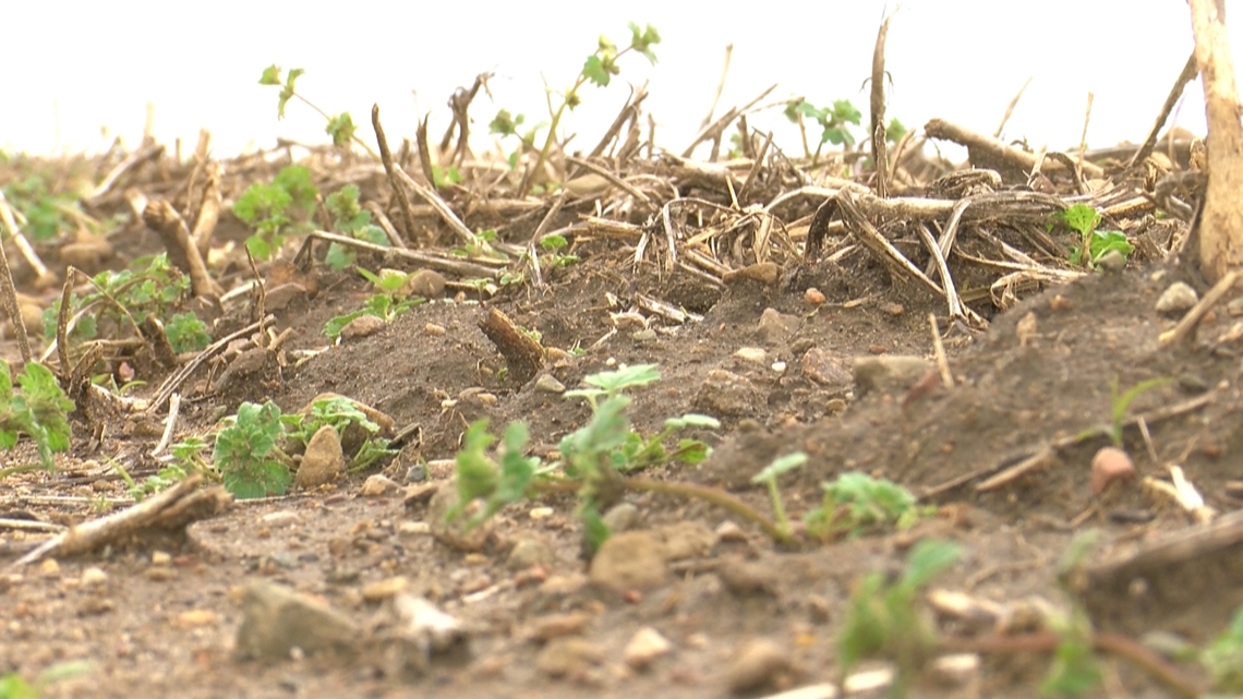 A foot of rain and a ticking clock: Northwest Ohio farmers race to plant after record-wet spring start