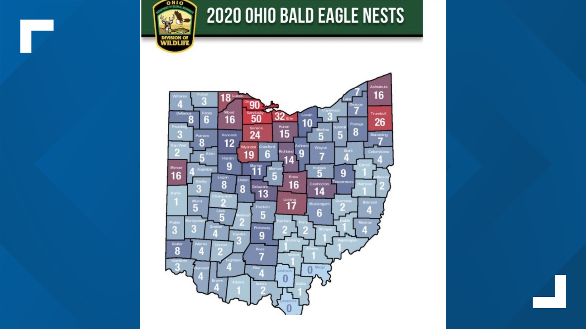 How many bald eagles are there in Ohio?