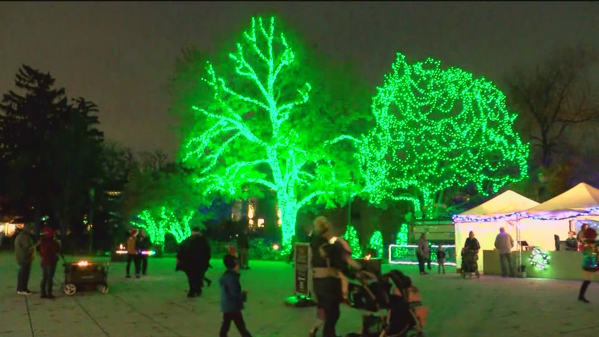 The Toledo Zoo turned on more than 1 million lights for its annual event.