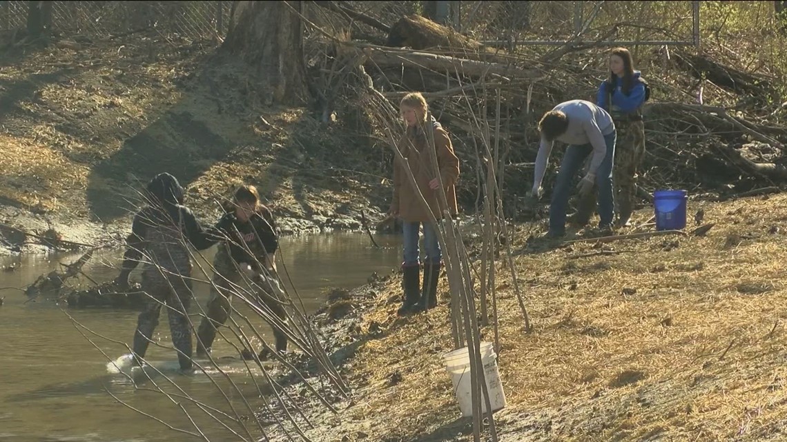Toledo Public Schools students restoring natural habitat along Hill Ditch