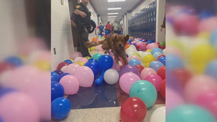 Wayne Trace High School prank gives K9 officer best day on the job