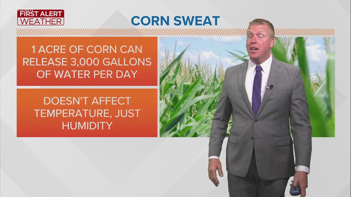 What is evapotranspiration, aka 'corn sweat?'