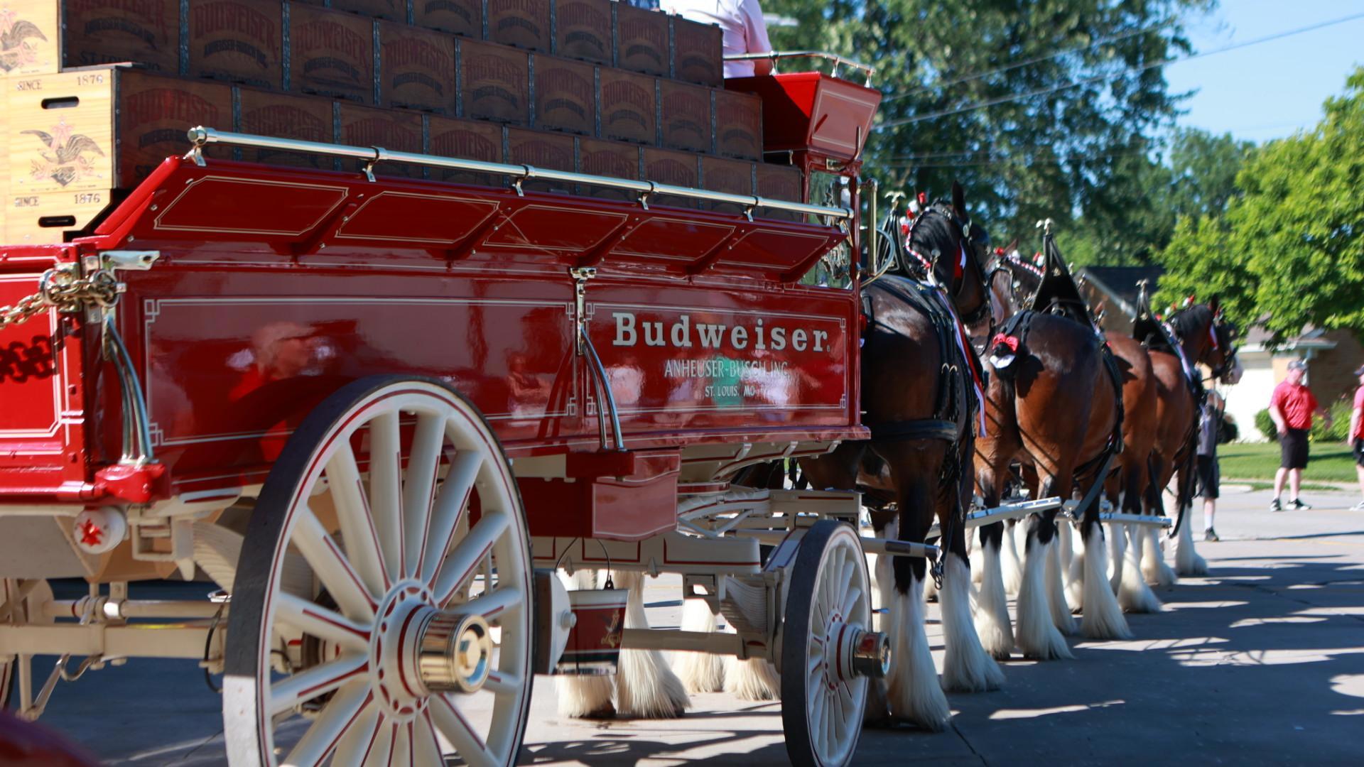 Budweiser Clydesdales visit Toledo on national tour | wtol.com