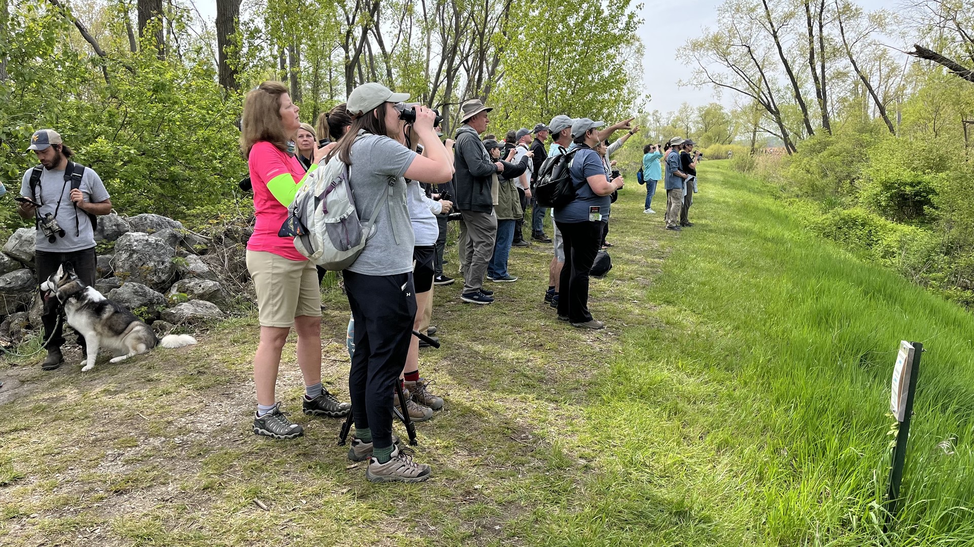 Biggest Week in American Birding to the fun